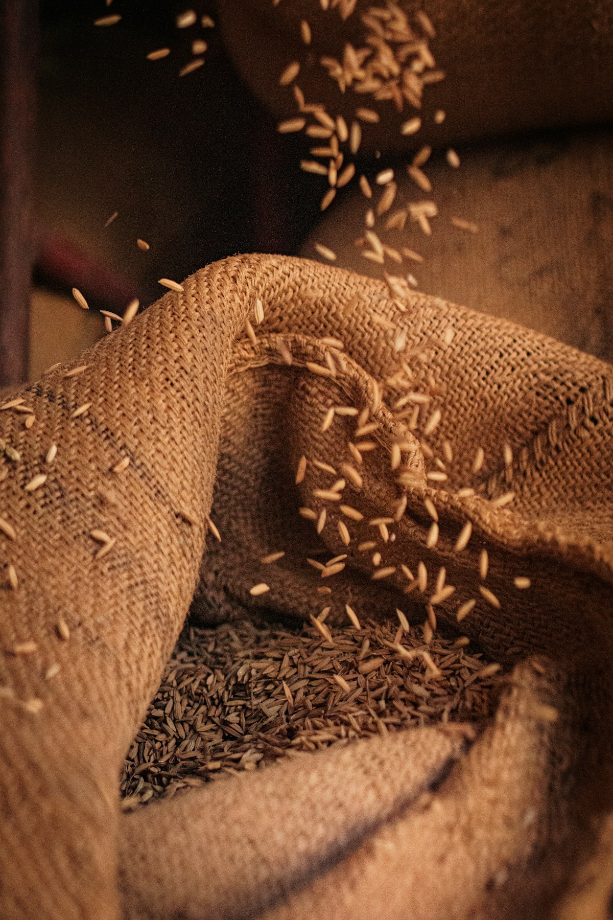 A sack of grain seeds on a table